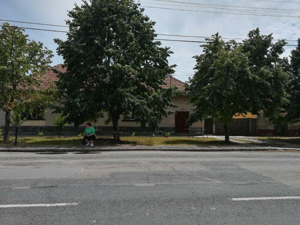 Harsfak Villa Mezokovacshaza Luaran gambar
