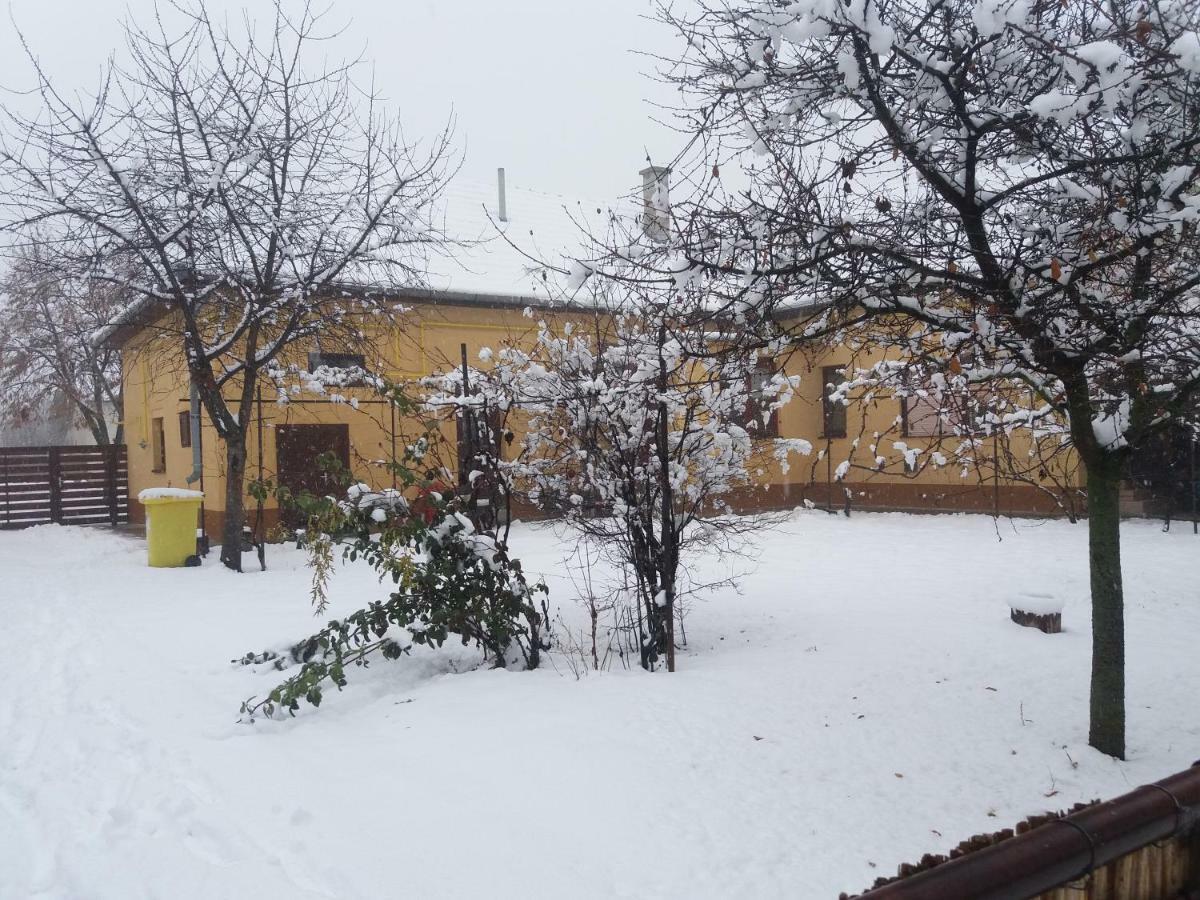 Harsfak Villa Mezokovacshaza Luaran gambar