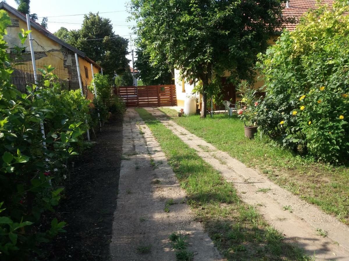 Harsfak Villa Mezokovacshaza Luaran gambar